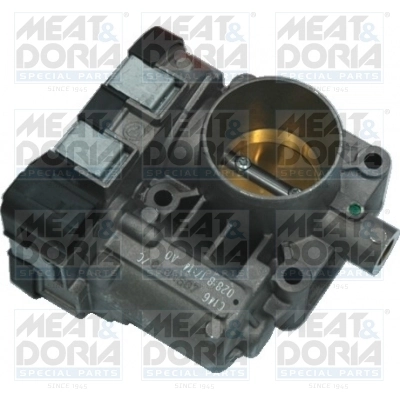 Throttle Body